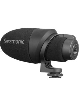 Camera mounted microphones