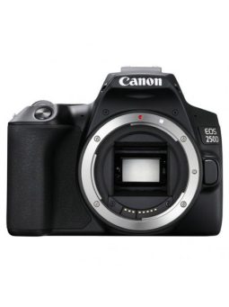 Canon DSLR for Beginners